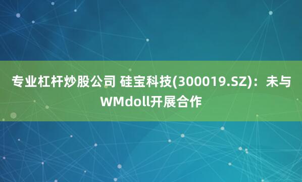专业杠杆炒股公司 硅宝科技(300019.SZ)：未与WMdoll开展合作